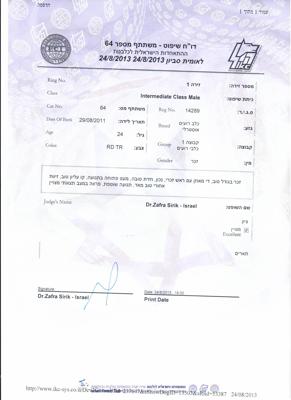 תערוכה הנרי