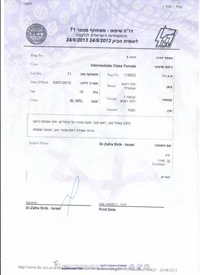 תערוכה קייט