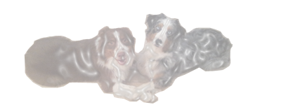 בית גידול בוטיק